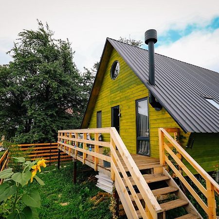 Wooden Cottage "Green House" In Бакуріані Екстер'єр фото