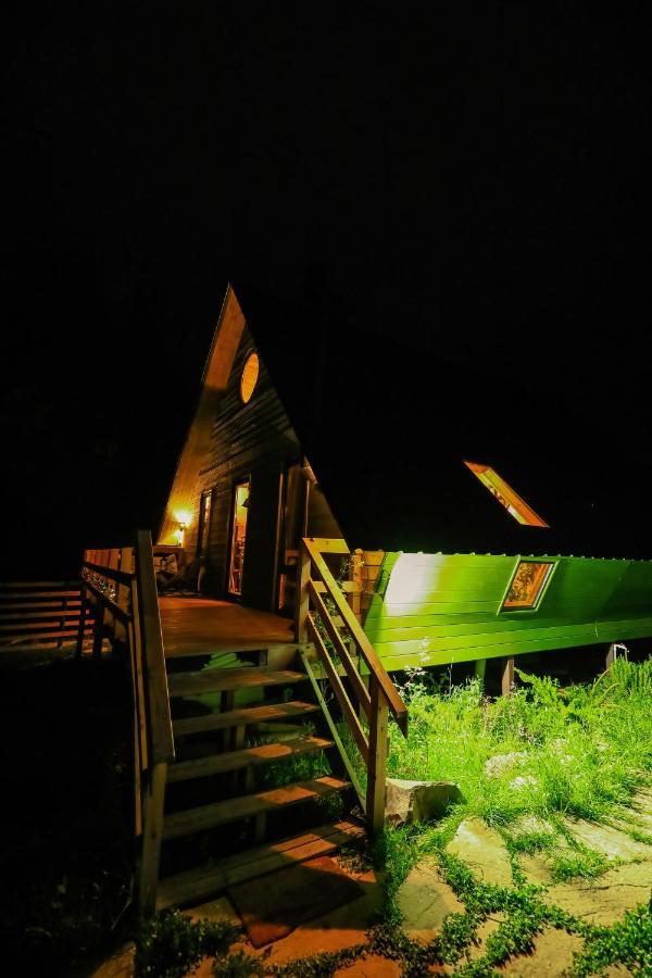 Wooden Cottage "Green House" In Бакуріані Екстер'єр фото