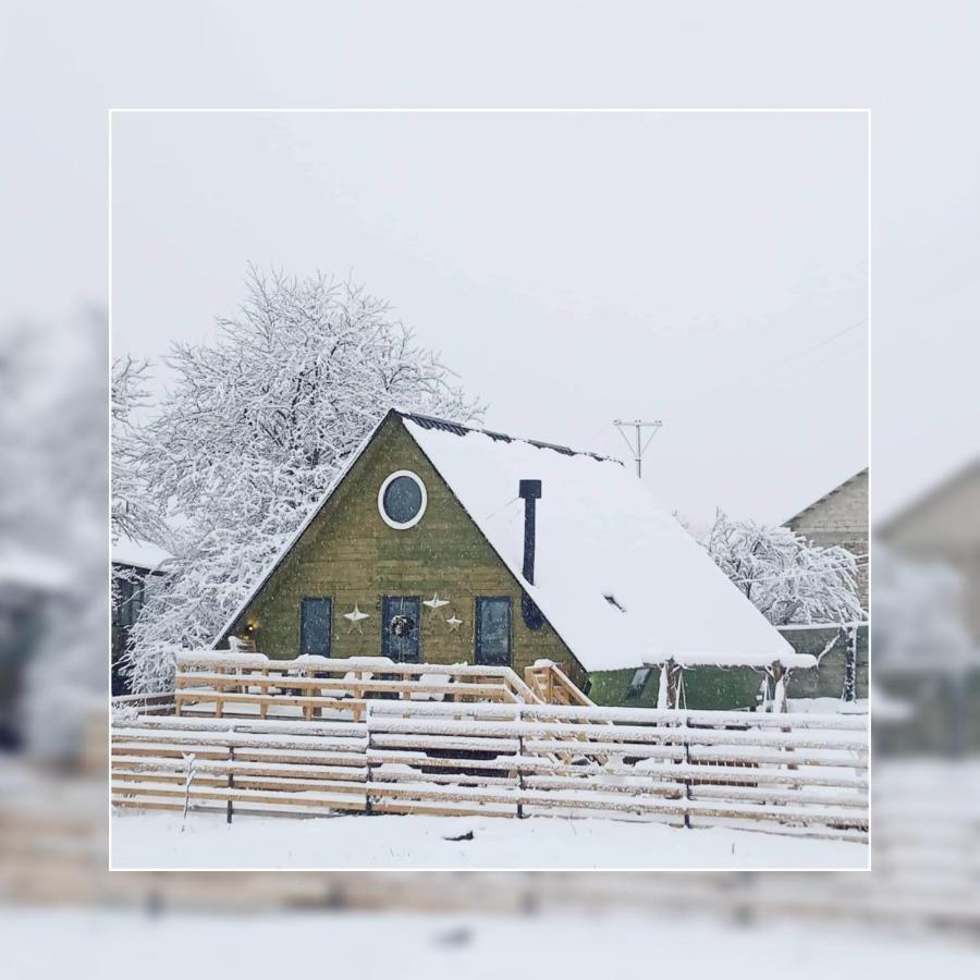 Wooden Cottage "Green House" In Бакуріані Екстер'єр фото